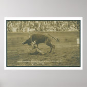 Oklahoma Culy buldogging. Poster (Voorkant)