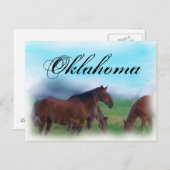Oklahoma horses briefkaart (Voorkant / Achterkant)