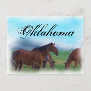 Oklahoma horses briefkaart