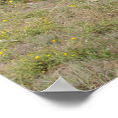 Oklahoma Land Poster (Hoek)