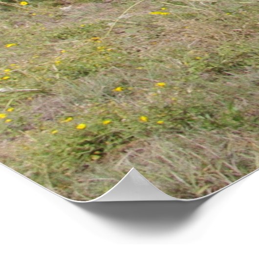 Oklahoma Land Poster (Hoek)