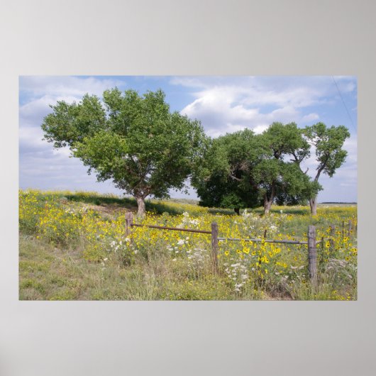 Oklahoma Land Poster (Voorkant)