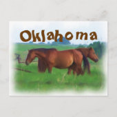 Oklahoma paarden 2 briefkaart (Voorkant)