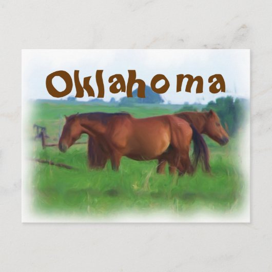 Oklahoma paarden 2 briefkaart (Voorkant)