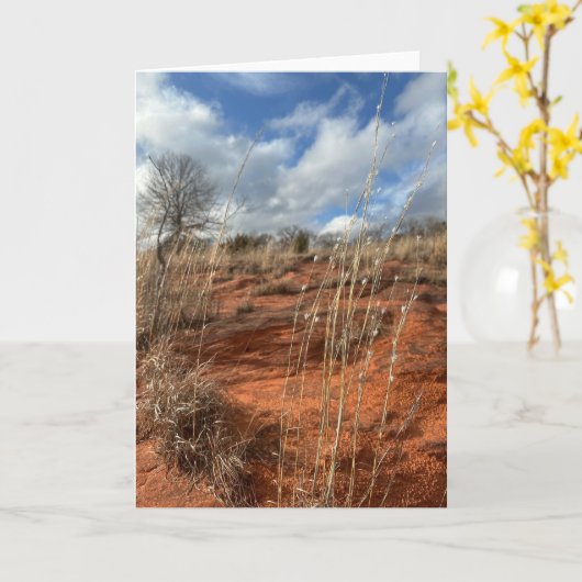 Oklahoma Prairie Kaart - Niet ingevuld (Gele Bloem)