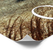 Oklahoma Prairie Print (Hoek)