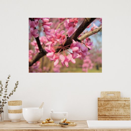 Oklahoma Redbud Blossom II Print (Keuken)