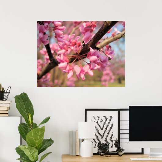 Oklahoma Redbud Blossom II Print (Thuiskantoor)