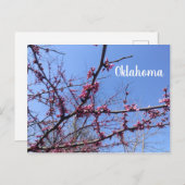 Oklahoma Redbud-Briefkaart Briefkaart (Voorkant / Achterkant)