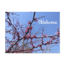 Oklahoma Redbud-Briefkaart
