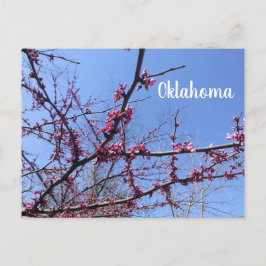 Oklahoma Redbud-Briefkaart Briefkaart