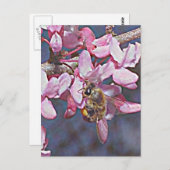 Oklahoma Redbud en Honeybee Briefkaart (Voorkant / Achterkant)