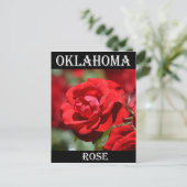 Oklahoma Roos Briefkaart (Staand voorkant)