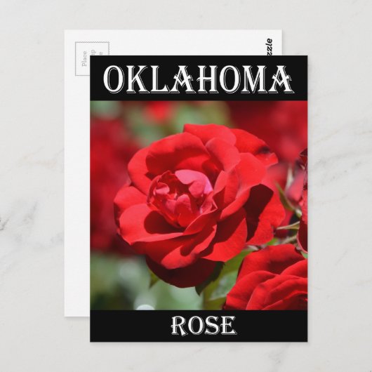 Oklahoma Roos Briefkaart (Voorkant / Achterkant)