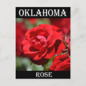 Oklahoma Roos Briefkaart (Voorkant)