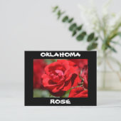 Oklahoma Roos Briefkaart (Staand voorkant)