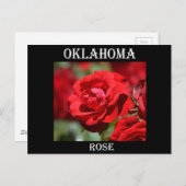 Oklahoma Roos Briefkaart (Voorkant / Achterkant)