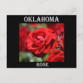 Oklahoma Roos Briefkaart (Voorkant)