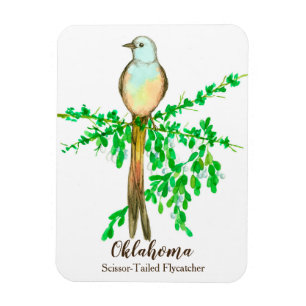 Oklahoma Scissor Tailed Fly Catcher Bird Magneet