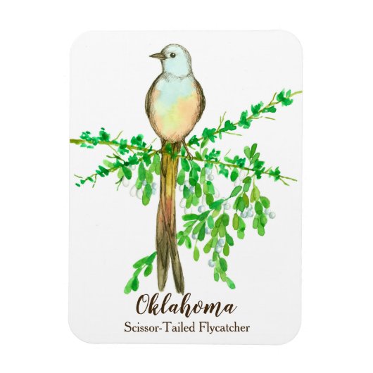 Oklahoma Scissor Tailed Fly Catcher Bird Magneet (Verticaal)