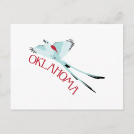 Oklahoma Scissortail Briefkaart