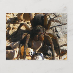 Oklahoma, Spider Briefkaart