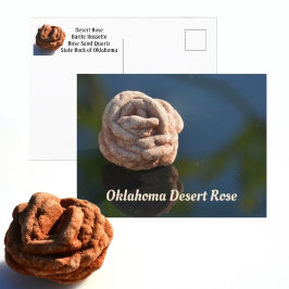 Oklahoma Staatssteen Woestijnroos Fotografisch Briefkaart