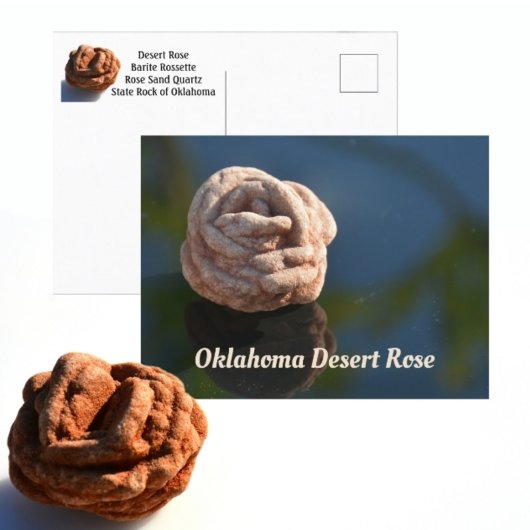 Oklahoma Staatssteen Woestijnroos Fotografisch Briefkaart