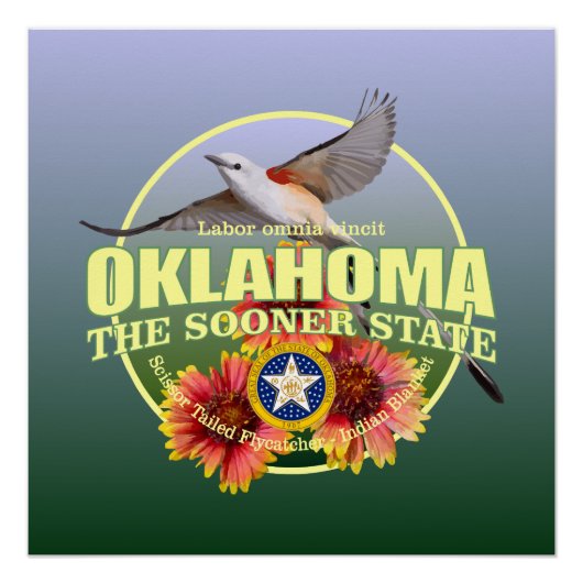 Oklahoma State Bird & Flower Perfect Poster (Voorkant)