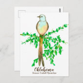 Oklahoma State Bird Scissor Tailed Flycatcher Briefkaart (Voorkant / Achterkant)