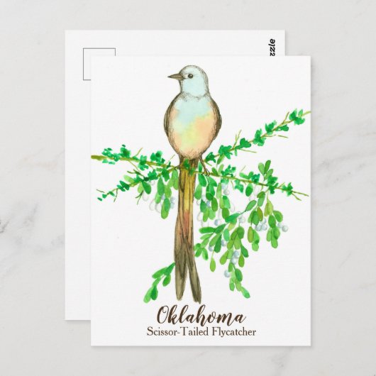 Oklahoma State Bird Scissor Tailed Flycatcher Briefkaart (Voorkant / Achterkant)