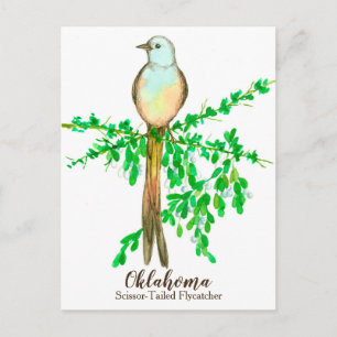 Oklahoma State Bird Scissor Tailed Flycatcher Briefkaart