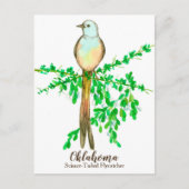 Oklahoma State Bird Scissor Tailed Flycatcher Briefkaart (Voorkant)