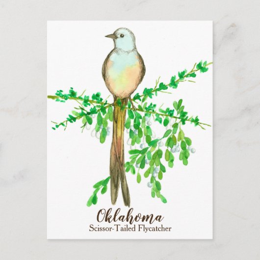 Oklahoma State Bird Scissor Tailed Flycatcher Briefkaart (Voorkant)