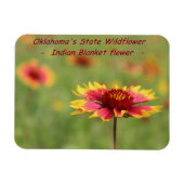 Oklahoma State Wildflower Magnet Magneet (Horizontaal)