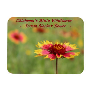 Oklahoma State Wildflower Magnet Magneet