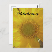Oklahoma Sunflower Briefkaart (Voorkant / Achterkant)