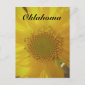 Oklahoma Sunflower Briefkaart (Voorkant)