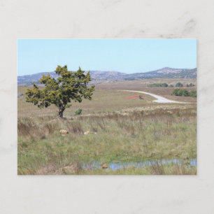 Oklahoma's Witchita Wild Life Refuge Briefkaart