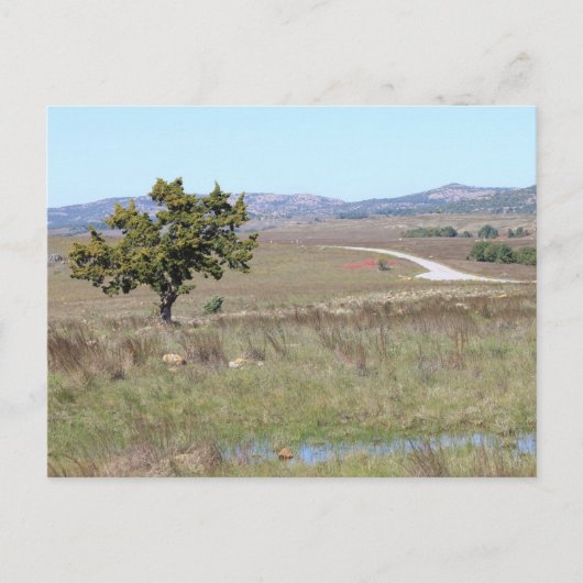 Oklahoma's Witchita Wild Life Refuge Briefkaart (Voorkant)