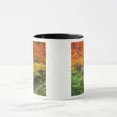 Okochi Sanso, Arashiyama, Kyoto, Japan 2 Mok (Midden)