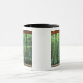 Okochi Sanso, Arashiyama, Kyoto, Japan 3 Mok (Midden)