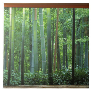 Okochi Sanso, Arashiyama, Kyoto, Japan 3 Tegeltje