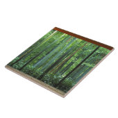 Okochi Sanso, Arashiyama, Kyoto, Japan 3 Tegeltje (Zijkant)