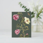 Okra Briefkaart (Staand voorkant)