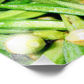 okras groene groenten foto afdruk (Hoek)