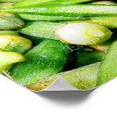 okras groene groenten leven nog poster (Hoek)