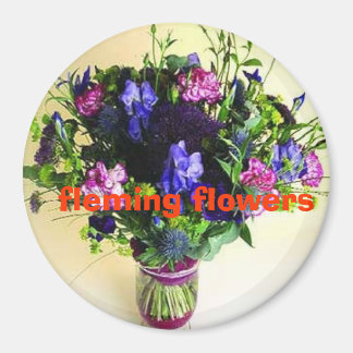 okt 20 afbeeldingen van het huis 095, vlaming... magneet