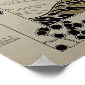 Oktober 1901 poster (Hoek)