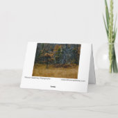 "Oktober" Adirondack Forest and Trees Scene Kaart (Achterkant)